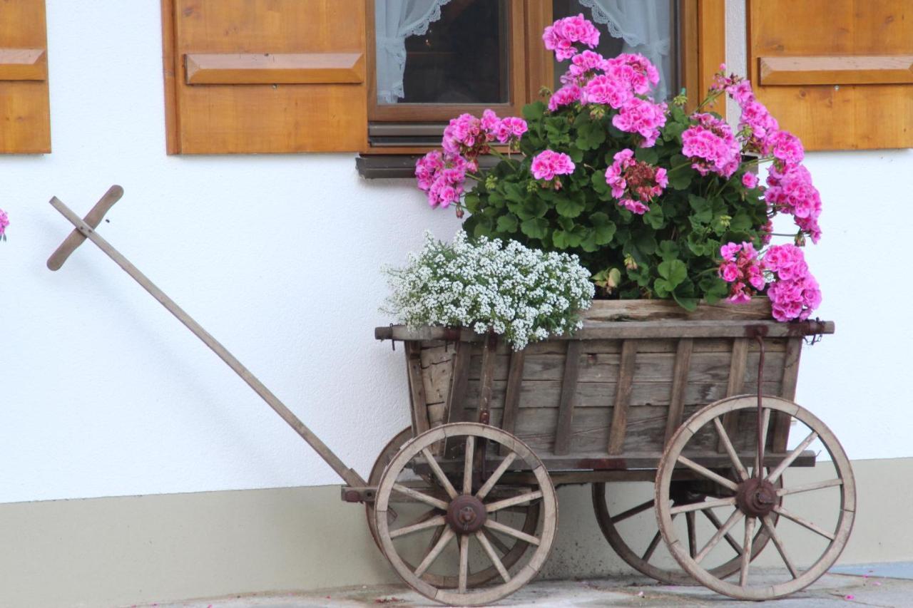 Ferienhof Zum Sagschneider 렌그레스 외부 사진